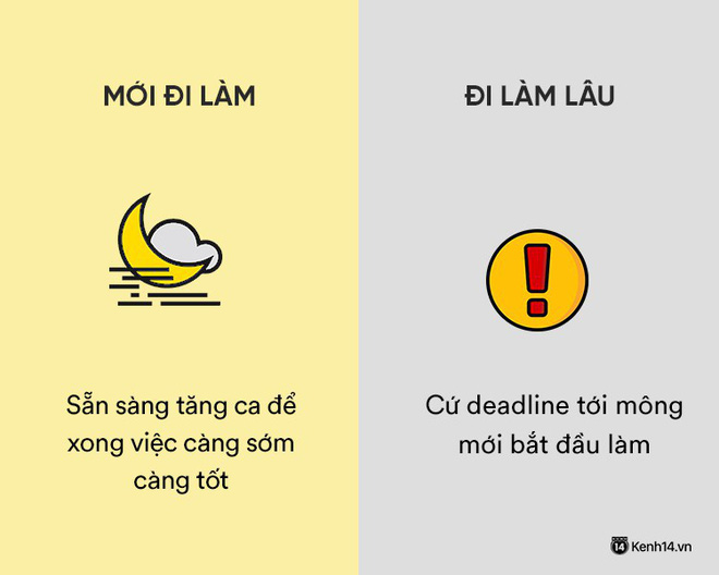 Sự khác nhau phũ phàng giữa hồi mới đi làm và khi đã đi làm lâu năm Sự khác nhau phũ phàng giữa hồi mới đi làm và khi đã đi làm lâu năm