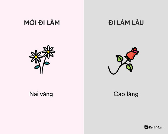 Sự khác nhau phũ phàng giữa hồi mới đi làm và khi đã đi làm lâu năm Sự khác nhau phũ phàng giữa hồi mới đi làm và khi đã đi làm lâu năm
