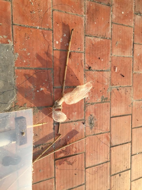 Vụ nữ sinh trầm cảm rơi từ tầng 8 tử vong: Nhiều sinh viên hoảng sợ chuyển phòng