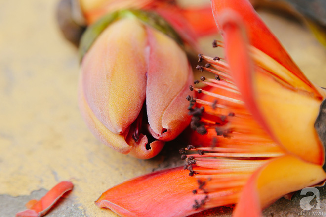 Hà Nội những ngày tháng ba, những nhành hoa gạo rực đỏ cả góc trời