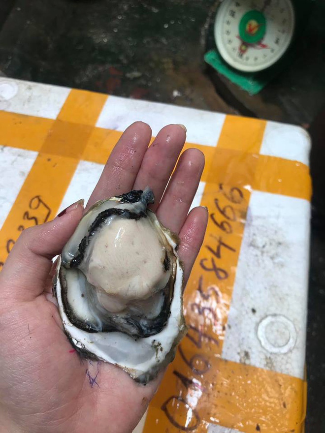 Lên chợ online tố cáo người bán đưa 2 kg hàu, sau khi rửa sạch còn 1,6 kg, chị nội trợ tưởng được bênh ai ngờ ăn mắng Lên chợ online tố cáo người bán đưa 2 kg hàu, sau khi rửa sạch còn 1,6 kg, chị nội trợ tưởng được bênh ai ngờ ăn mắng