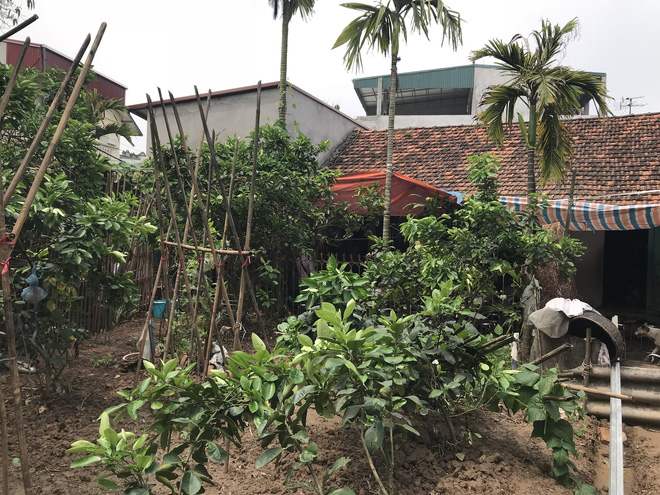 Cha mẹ của chiến sĩ CSPCCC tử nạn trên cao tốc: Nó bỏ đi, chẳng bảo với ai điều gì...