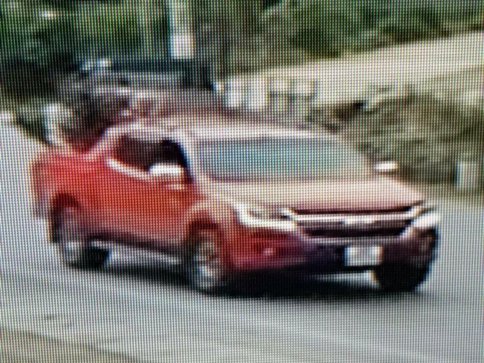 Xuất hiện thông tin mới vụ cây hoa hồng đắt giá bị người lạ đánh ô tô vào tận nhà cuỗm mất