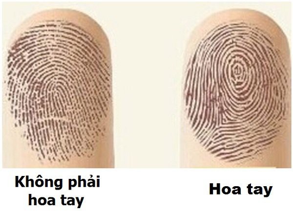 Liếc nhìn ngón tay cái, biết ngay bạn giàu nứt đố đổ vách hay nghèo rớt mồng tơi Liếc nhìn ngón tay cái, biết ngay bạn giàu nứt đố đổ vách hay nghèo rớt mồng tơi