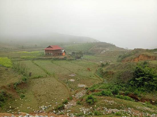 Lời kể đau nhói lòng của chàng trai dân tộc Thái bị trộm cây hồng cổ 20 năm tuổi