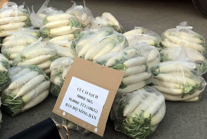 Hà Nội: CSGT giải cứu củ cải cho bà con nông dân Tráng Việt