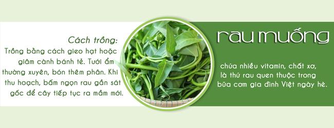 Tháng 3,4,5: Trồng rau gì vừa hợp mùa vừa có rau ăn đã miệng từ xuân sang hè