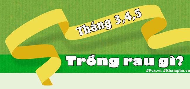Tháng 3,4,5: Trồng rau gì vừa hợp mùa vừa có rau ăn đã miệng từ xuân sang hè