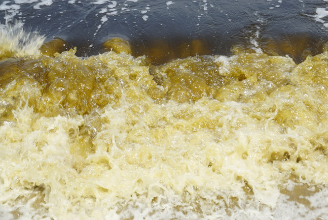 Tìm nguyên nhân nước đổi màu ở vịnh Đà Nẵng