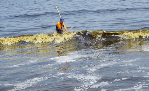 Tìm nguyên nhân nước đổi màu ở vịnh Đà Nẵng