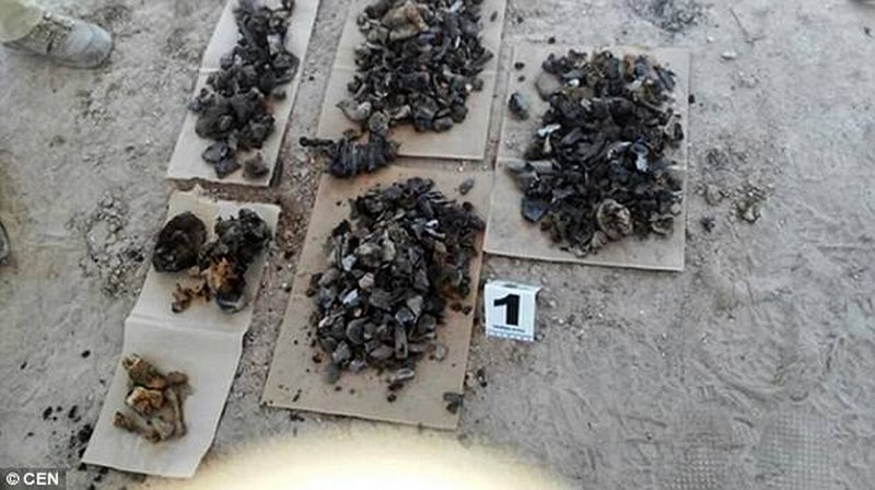 Mafia Mexico và màn phi tang hàng nghìn xác nạn nhân bằng axit