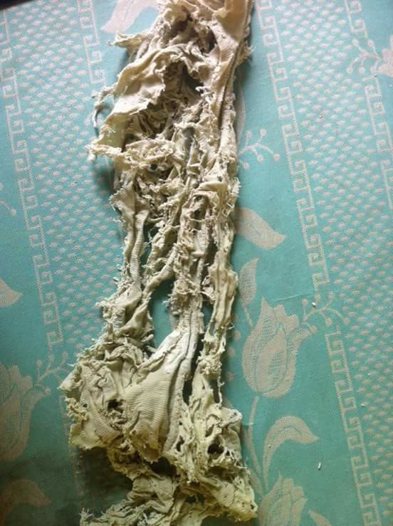 Học sinh, sinh viên thi nhau khoe những chiếc giẻ lau bảng sống hết mình đến giây cuối cùng