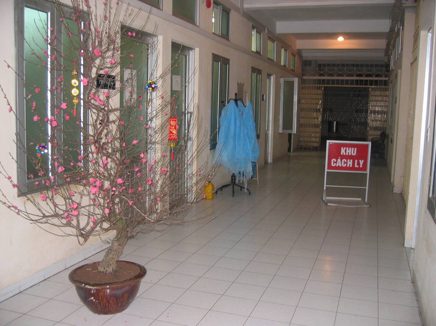 15 năm đại dịch SARS, nỗi kinh hoàng chưa phai