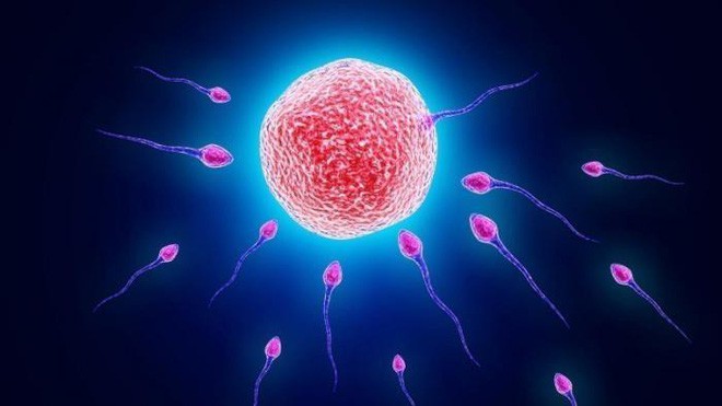 3 nhóm người có chất lượng tinh trùng tốt nhất: Hãy xem có bạn không? 3 nhóm người có chất lượng tinh trùng tốt nhất: Hãy xem có bạn không?