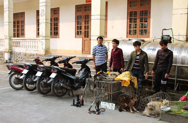 Bắt nhóm thanh niên dùng ớt bột, dây thòng lọng trộm chó