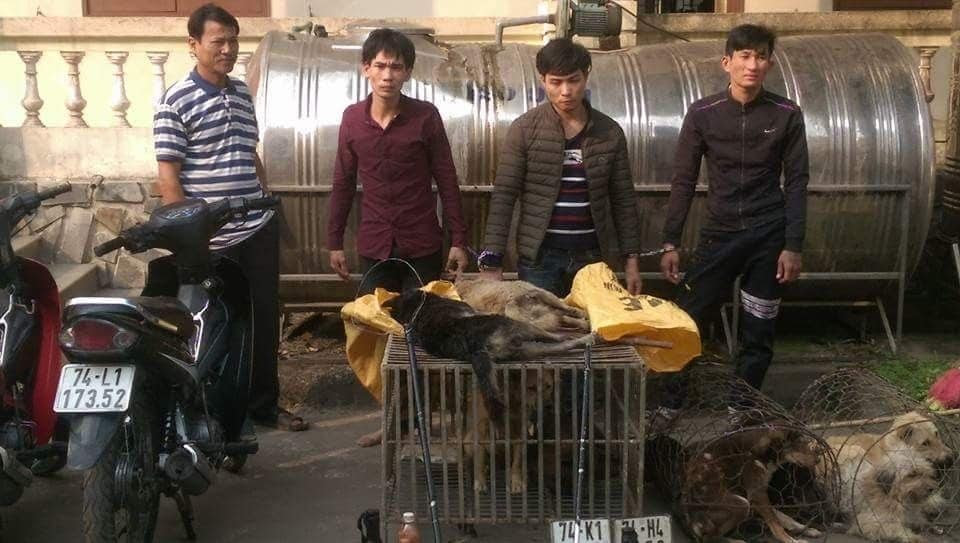 Bắt nhóm thanh niên dùng ớt bột, dây thòng lọng trộm chó Bắt nhóm thanh niên dùng ớt bột, dây thòng lọng trộm chó