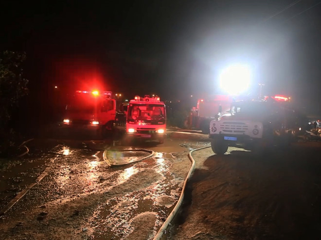 Hơn 1.000 m2 trại nuôi dế bị thiêu rụi trong đêm