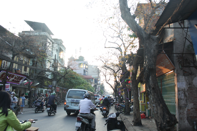 Hà Nội phố tưng bừng tươi mới trong sắc đỏ của chồi non đầu hạ Ha Noi pho tung bung tuoi moi trong sac do cua choi non dau ha