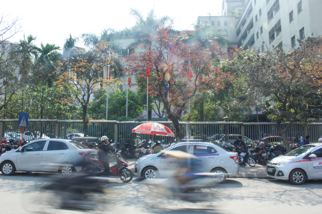 Hà Nội phố tưng bừng tươi mới trong sắc đỏ của chồi non đầu hạ Ha Noi pho tung bung tuoi moi trong sac do cua choi non dau ha