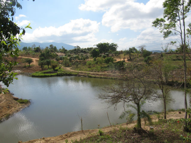 Sự thật về sức khoẻ của Đặng Lê Nguyên Vũ sau 49 ngày thiền định