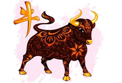 Lấy vợ tuổi này, đàn ông như được ban báu vật vô giá