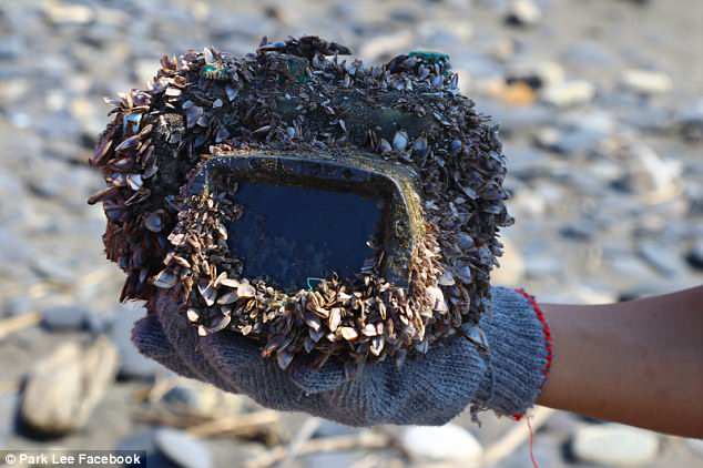 Máy ảnh rơi xuống biển trôi 250km, 2 năm quay về chủ cũ vẫn chạy tốt