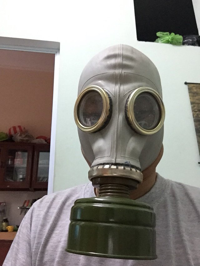 Cơn sốt rau trường sinh: Thương lái Tàu ồ ạt thu gom