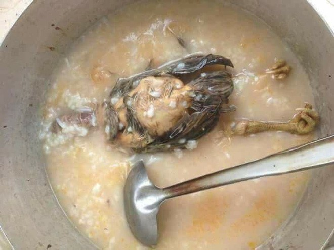 Cười nghiêng ngả với những 'thành quả' nấu ăn của những cô nàng 'thánh vụng' Cuoi nghieng nga voi nhung 'thanh qua' nau an cua nhung co nang 'thanh vung'