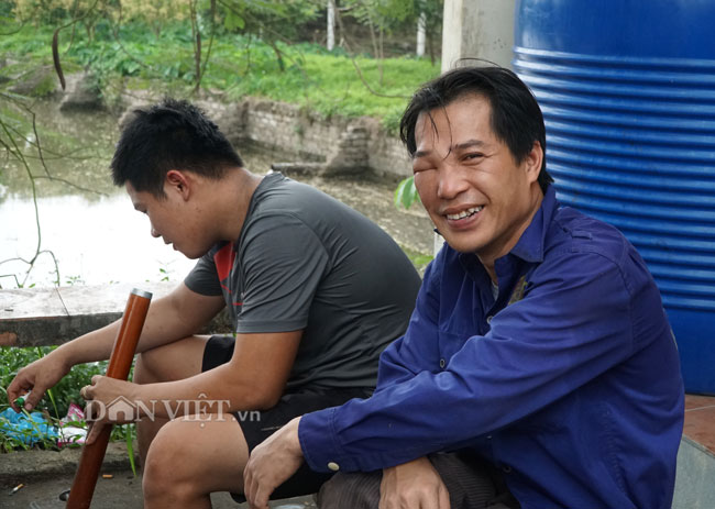 Ảnh, clip: Nuôi ong du mục thu hàng trăm triệu ở Hưng Yên