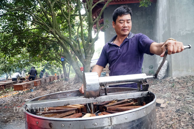 Ảnh, clip: Nuôi ong du mục thu hàng trăm triệu ở Hưng Yên