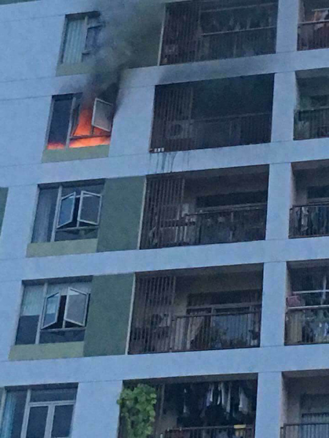 Xác định nguyên nhân ban đầu vụ cháy chung cư Parc Spring