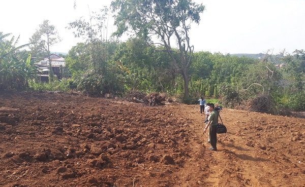 Chủ cây quái thú ở Đắk Lắk: Người ta đưa tôi sấp giấy bảo ký