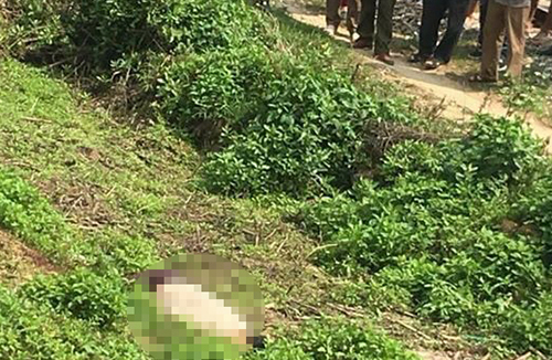 Nam thanh niên bị người tình của mẹ đâm chết