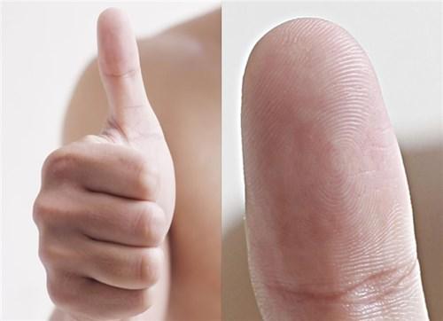 Đếm số hoa tay, đọc ngay vận mệnh giàu sang hay nghèo khổ