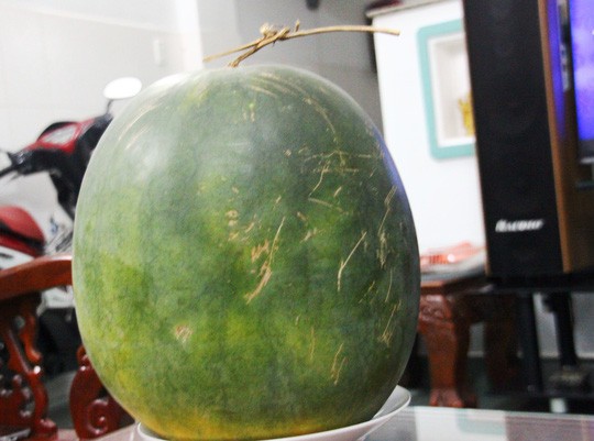 Cô gái phàn nàn vì nhà chồng tương lai đến ra mắt mua mỗi quả dưa hấu 10 nghìn, chị em khuyên mua túi kẹo cao su đáp lễ