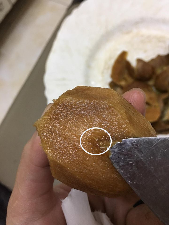 Chủ shop muốn vái khách mua cam, hồng xiêm chín không cho tủ lạnh, để ở ngoài 5 ngày bị thối rồi quay ra bắt đền