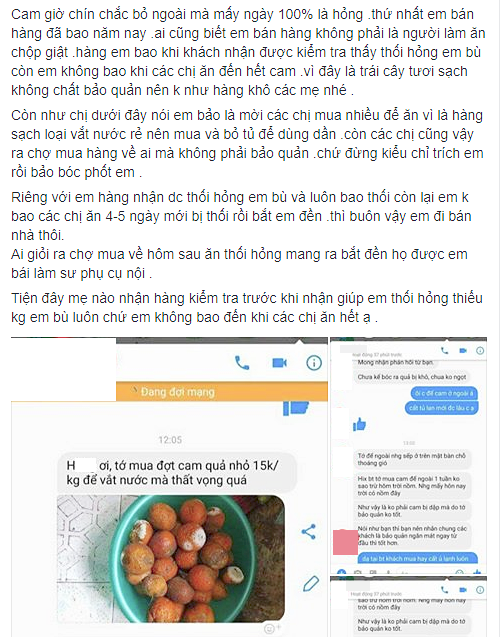 Chủ shop muốn vái khách mua cam, hồng xiêm chín không cho tủ lạnh, để ở ngoài 5 ngày bị thối rồi quay ra bắt đền