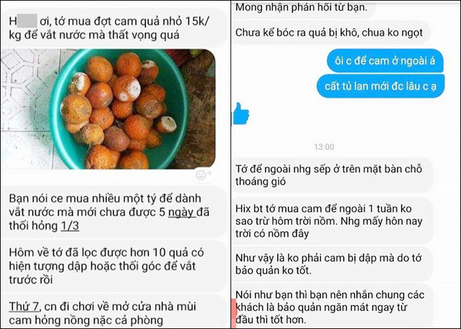 Chủ shop muốn vái khách mua cam, hồng xiêm chín không cho tủ lạnh, để ở ngoài 5 ngày bị thối rồi quay ra bắt đền