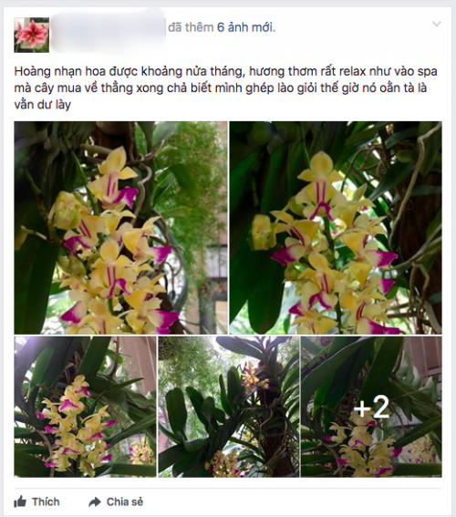 Đáng yêu như mẹ Bích Phương: Con gái đăng ảnh sống ảo liền troll ngay lập tức