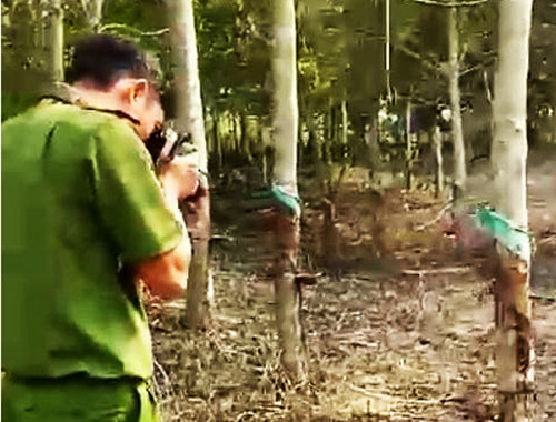 Níu kéo tình cảm bất thành, đốt rẫy điều của người tình