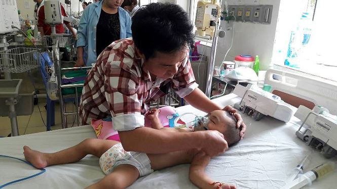 Bé trai 19 tháng tuổi bị 1.000 vết ong đốt kín người