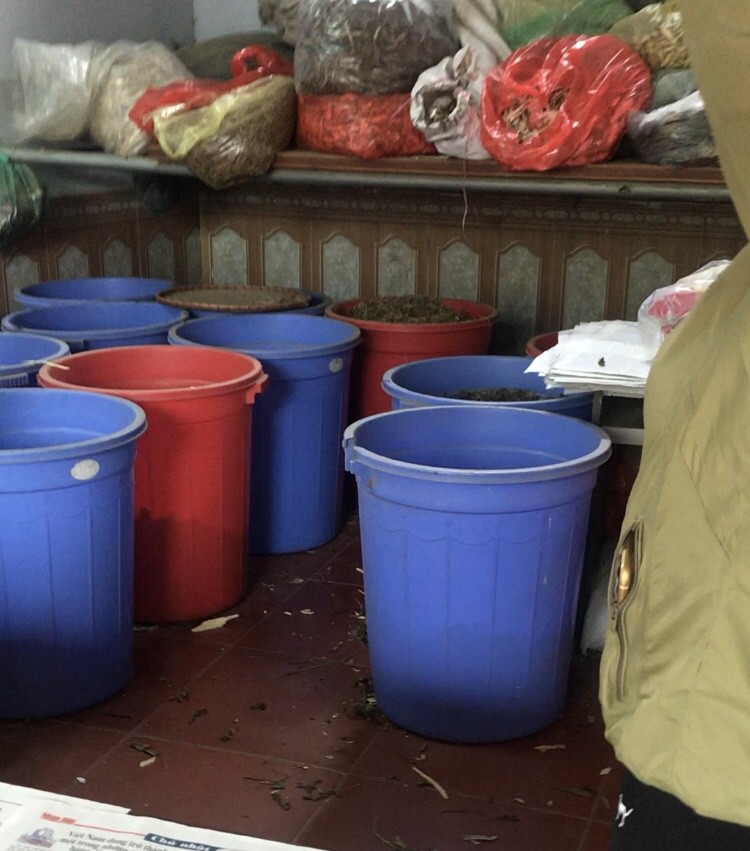 Giật mình Hoa Đà tái thế, chữa ung thư bằng đài âm dương và rễ cây