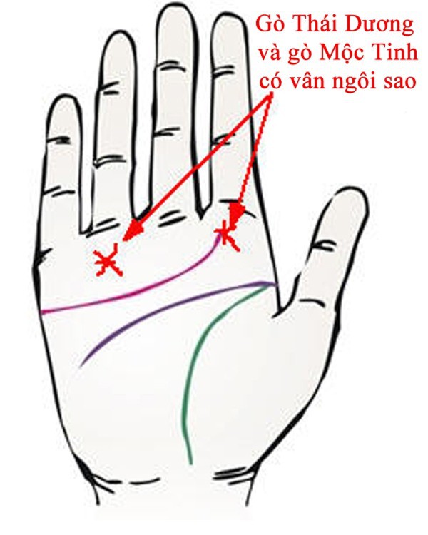 Bàn tay mà có 12 dấu hiệu này, bạn sẽ phú quý giàu sang cả đời, đặc biệt số 10 rất hiếm gặp Bàn tay mà có 12 dấu hiệu này, bạn sẽ phú quý giàu sang cả đời, đặc biệt số 10 rất hiếm gặp