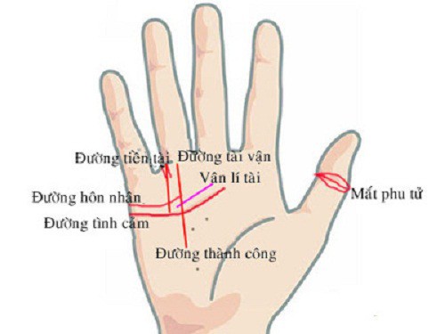 Bàn tay mà có 12 dấu hiệu này, bạn sẽ phú quý giàu sang cả đời, đặc biệt số 10 rất hiếm gặp Bàn tay mà có 12 dấu hiệu này, bạn sẽ phú quý giàu sang cả đời, đặc biệt số 10 rất hiếm gặp