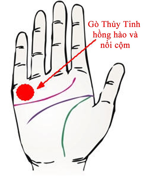 Bàn tay mà có 12 dấu hiệu này, bạn sẽ phú quý giàu sang cả đời, đặc biệt số 10 rất hiếm gặp Bàn tay mà có 12 dấu hiệu này, bạn sẽ phú quý giàu sang cả đời, đặc biệt số 10 rất hiếm gặp