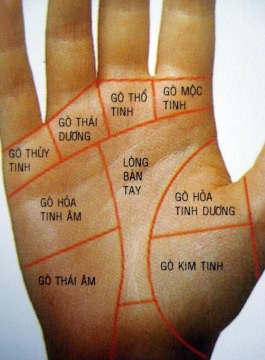Bàn tay mà có 12 dấu hiệu này, bạn sẽ phú quý giàu sang cả đời, đặc biệt số 10 rất hiếm gặp Bàn tay mà có 12 dấu hiệu này, bạn sẽ phú quý giàu sang cả đời, đặc biệt số 10 rất hiếm gặp