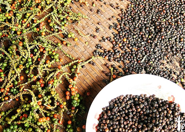 Giá nông sản hôm nay 6/4: Giá cà phê tiếp tục tăng, nông dân tranh thủ bán ra, giá tiêu đứng yên