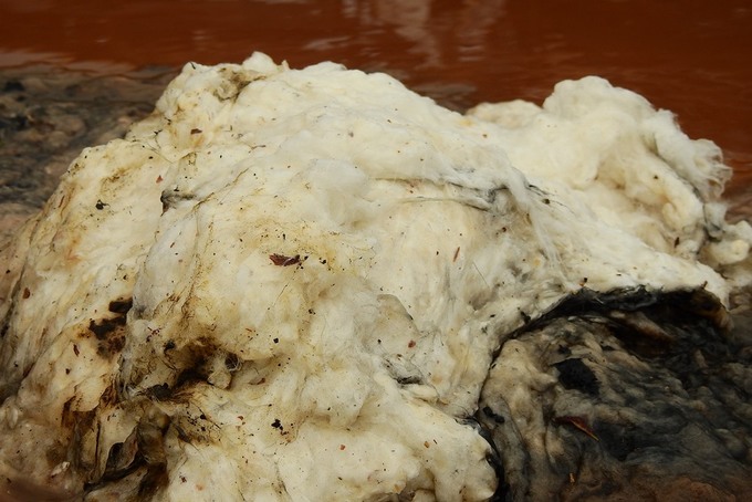 Kho bông vải hoang tàn sau đám cháy kéo dài 34 giờ