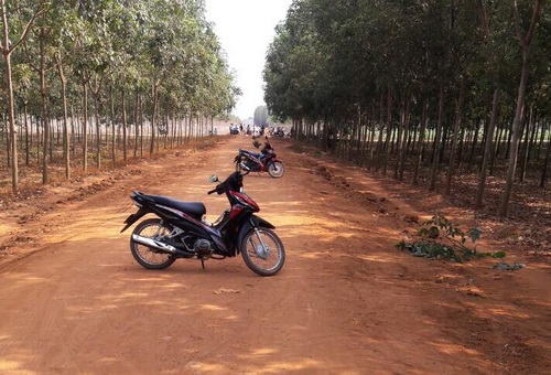 Người đàn ông bị sát hại trong nông trường cao su