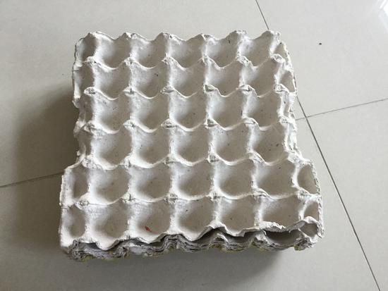 3 cách trồng hành lá tại nhà không cần đất hay chậu, cực nhanh lại nhàn ăn mãi chẳng hết 3 cách trồng hành lá tại nhà không cần đất hay chậu, cực nhanh lại nhàn ăn mãi chẳng hết